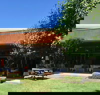 Wild Swan - Seniors Australia