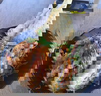 The Strand Byford Lakeside Restaurant  Cafe - Seniors Australia