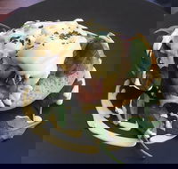 Catalano  Co - Seniors Australia