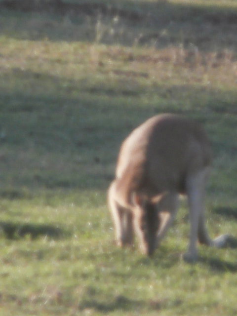 Fitzroy River Lodge - Seniors Australia 1