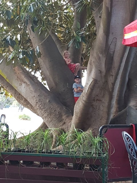 Gibson Soak Country Pub - Seniors Australia 3