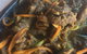 Millets Restaurant - thumb 3