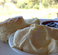 Tanglefoot Winery Cafe - Seniors Australia