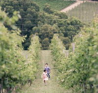Greenhill Wines - Seniors Australia