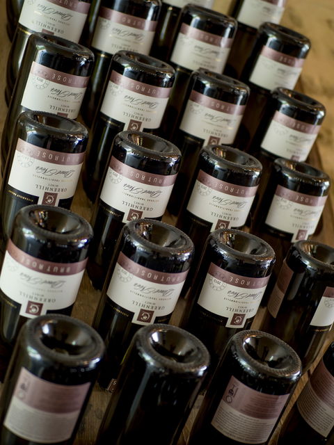 Greenhill Wines - Seniors Australia 2