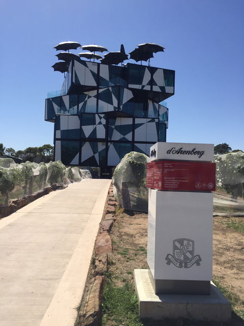 The D'Arenberg Cube Restaurant - Seniors Australia 2