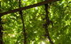 Vintner's Bar And Grill - thumb 1