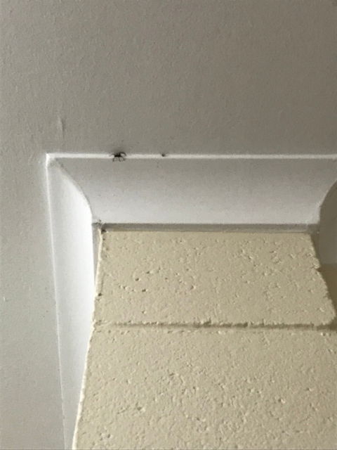 Anglers Inn Restaurant - Seniors Australia 7