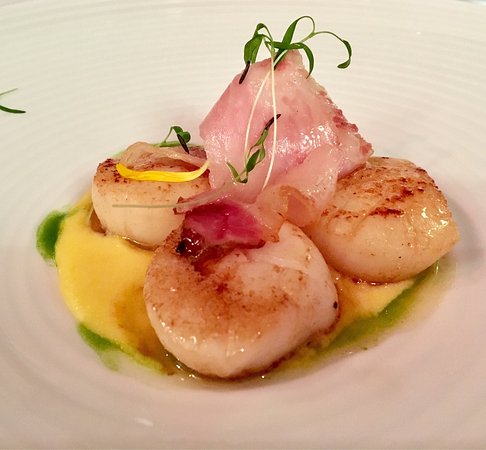 Penola SA Seniors Australia