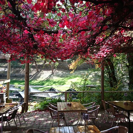 The Bridgewater Inn - Seniors Australia 0