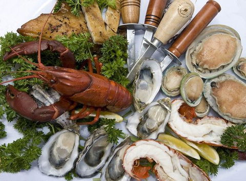 The Oyster Farm Shop - Seniors Australia 0