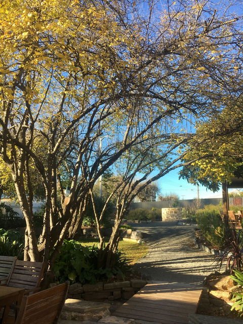 Velvet And Willow Wines - Seniors Australia 5