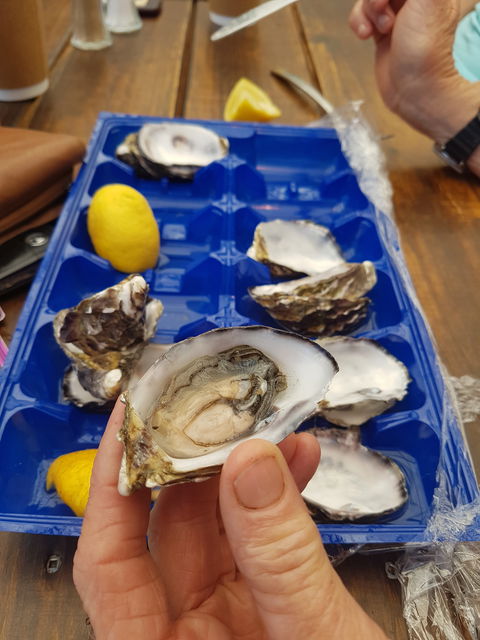 Beachcomber - Seniors Australia 3