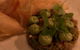 Longtime - thumb 6