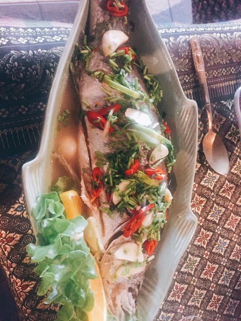 Princess Thai Clayfield - Seniors Australia 4