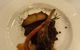 Tartufo Classic Italian - thumb 2