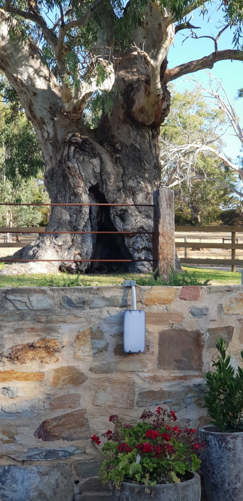 The Greenman Inn - Seniors Australia 3