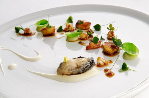 Urbane Restaurant - Seniors Australia 0