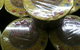 IzzyChai Modern Asian Cuisine - thumb 3