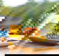 Elysium Restaurant  Bar - Seniors Australia