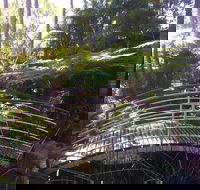 Lorikeet's Coffee Shop - Seniors Australia