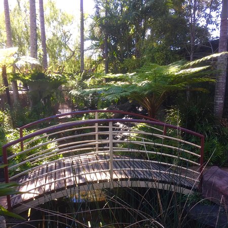 Lorikeet's Coffee Shop - Seniors Australia 0