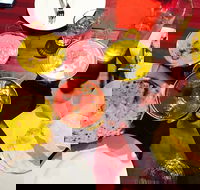 Gatton Indian Restaurant - Seniors Australia