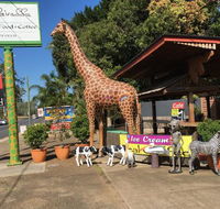 The Big Giraffe - Seniors Australia