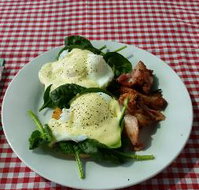 The Shed Cafe - Seniors Australia