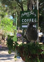 Chillagoe Gallery 29 - Seniors Australia 1