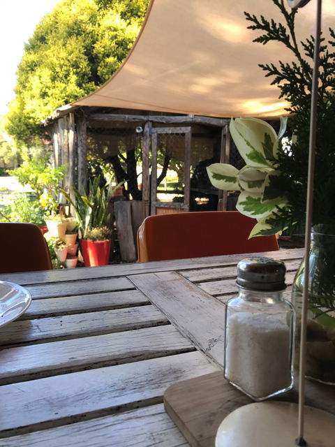 Fanny Mae's Cafe - Seniors Australia 2
