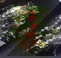 8days Cafe - Seniors Australia