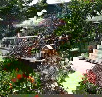 Old Man Drew - Seniors Australia