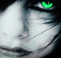 Blitz Hair  Beauty - Seniors Australia