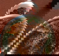 Jade Kingdom Chinese  Malaysian Restaurant B.Y.O.  Fast Food  Take Away - Seniors Australia