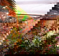 Blue Bamboo Restaurant and Cafe - Seniors Australia