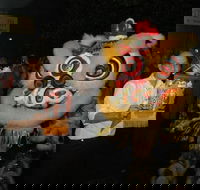 Lion Dance - Seniors Australia