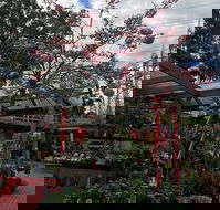 Beasleys Tea House - Seniors Australia