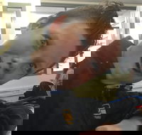 Ming's Chinese Restaurant - Seniors Australia