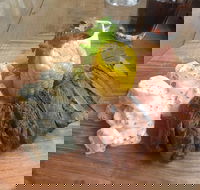 The Windy Mile - Seniors Australia