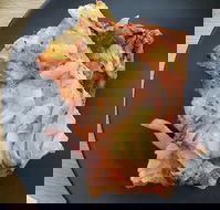 River View Deli Cafe - Seniors Australia