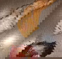 Oriental Garden Chinese Restaurant - Seniors Australia