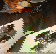 Flown The Coop - Seniors Australia