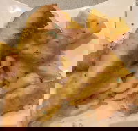 Lakeside Club - Seniors Australia