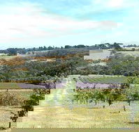 Main Ridge Harvest - Seniors Australia