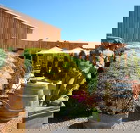 Stumpy Gully - Seniors Australia