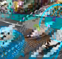 Amber Sweet Bliss - Seniors Australia