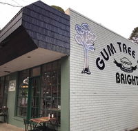 Gum Tree Pies - Seniors Australia