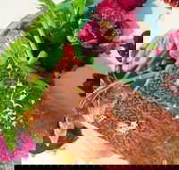 Mitchelton Winery - Seniors Australia