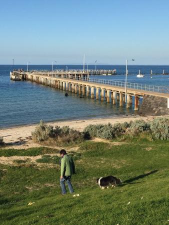 St Leonards Fish & Chips - Seniors Australia 0